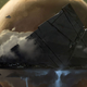 Illustration for article titled The Art of Bungies emDestiny/em